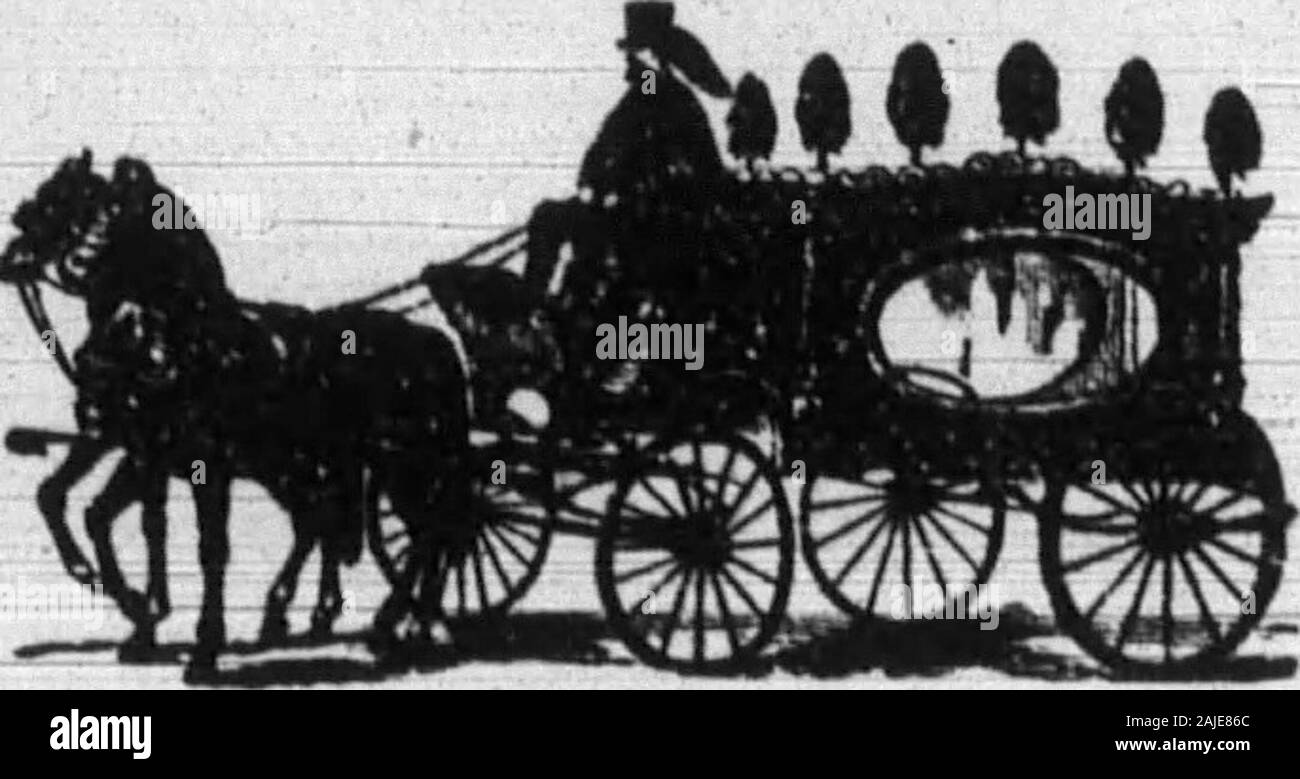 Boone County Recorder Writesb F Ajvcue Ot Ingleside X C A Bentlersdrug Cunrmitee Vendu Sous La Btorrtver M Tiger M A Vendre Bon Travail Mais Blinl Erence De Chevaux S Appliquent A J B