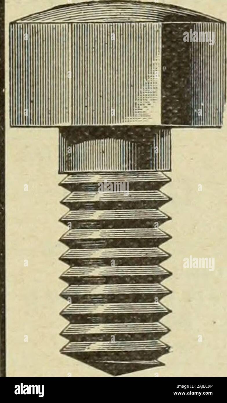 Le quincaillier (Juillet-Decembre 1905) . ? ? ! I I "n ?n^ ?[ Les Machines h forer, actionnees parla main .. DE.. JM R DI N E sontfaitespour repondreauxbesoinsdu forgeron. Elles fouctionnent ai-s6ment, sont commodes et durables. A. B. JARDINE & CO. HESPELER, ONT. FONDERIE ST-JEROME POEL.ES.CHAUDRONS.EVIERS.CANARDS, SITB. COMMANBE Nous en avons un fortI stoclc en mains. Ecrivez-nous pour lesprix et escomptes sp6ciaux au commerce. M. J. VIAU & FILS, Manufacturiers ST-JEROIVlB, F =.Q. ONTBRIAND M R. L., Architecte et mesureur, ) N230rueSt-Andr6, je Montréal. Le Moppow MachineScrew S John Co., Ltd.. Banque D'Images