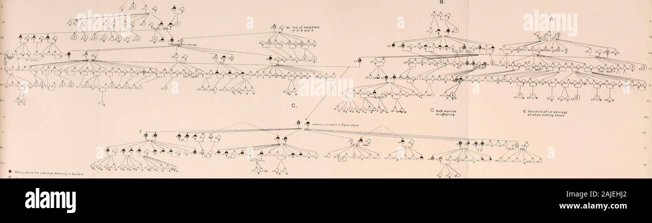 Des droits de l'héritage du trésor . Connurs Cas FIG. 188999 -•• lO -e fig. 190 Connor. (,N"e .7 ?• l# * 4-je ? Ml 94i**fj*^  ^ FIG. S 190 VM Y 9 Sir A. Milcliells / 11. ,J.O^ ,v ,6 ." irdof arinf fi"émis par le Laboratoire national de Francis Galton l'eugénisme. RRASURV INHKKITANCE DES. La capacité commerciale et la pensée libérale. XXII-XXIII plaques. FIG, 192. Un D.. tC-i9-&Lt ;-^• ? ? t73 54f6"6".Q5a6"6 O U&Lt ;,.ai si, ,y((j,9"j'^^^ luJ(,(. 4* La llR^fP l|)M*l ttOff jMuna j  + Dim. V 1 et 2-VII. 32 h 33 dans l'EDTR, XXrV, pl.te. Clé d'Slocks A, B, C. D, E, F et plaques Gof XXII., XXIII et XXIV.. B P. 4 G. 9 Banque D'Images