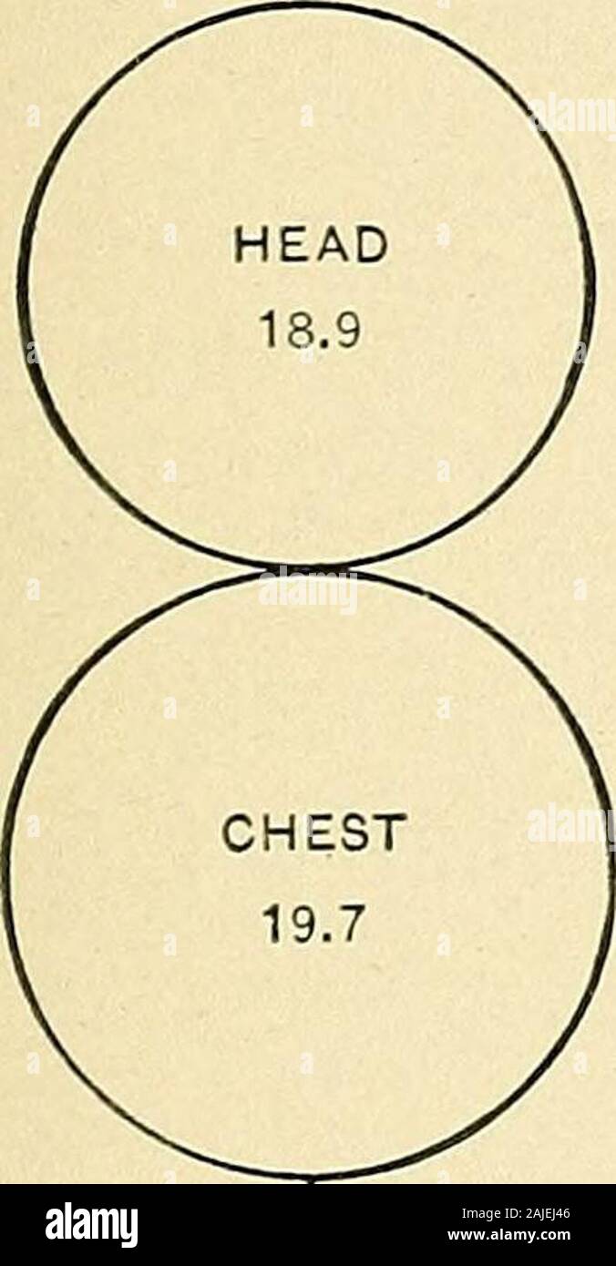 La Theorie Et La Pratique De L Alimentation Infantile Avec Des Notes Sur Le Developpement Le Poids Des Nouveau Nes Longueur15 4 Lbs Lbs Poids18 9 Oz 12 Mos Fig 91 Les Mesures Relatives De Diagrammes