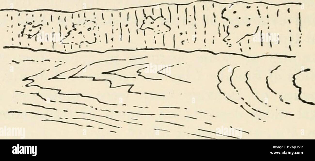 La géologie des sols et des substrats, avec référence spéciale à l'agriculture, des domaines, et l'assainissement . FIG. 25.-SECTIOX À CHALK-PIT, CLAYDOX, Suffolk. 4, le sol argileux et décalcifiées. 3, argileux calcaire. 2, sables et graviers (GCRC) perturbé. i, de la craie. Épaisseur totale, environ 30 pieds. Ailleurs marqué de contorsions strates sous-jacentes ne sont pas rare rencontré où brickearth ou d'argile, orthin alternances d'argile et de sable, se produire sous BoulderClay. (Fig. 26.) Parfois il y a des preuves de l'érosion de l'argile sous-jacente ou de boues glaciaires, où il n'contortionwas à voir, comme dans F Banque D'Images