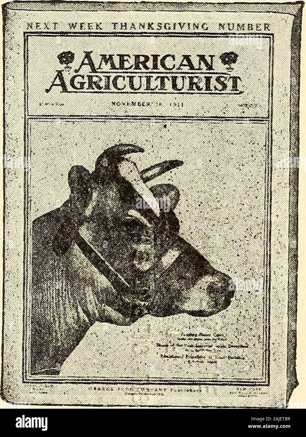 L'agronome américain annuaire agricole et ouvrage de référence, Monroe et les comtés de Livingston, New York : un répertoire rural et ouvrage de référence, y compris une carte routière de Monroe et les comtés de Livingston de Rochester .^ 1 établi 1852 43-45 rue de l'État entièrement équipées pour rendre service bancaire rapide et efficace d'un caractère progressif à l'extérieur de la ville les agents clients HENRY C. BREWSTER .Henry F. MARQUE .CHARLES J. J. BROWNWILLIAM .CHESTER J. SMITHGEORGE TRIMBLE C. EICHELMAN Président du Conseil . Le président . Vice-président adjoint Caissier Caissier caissier adjoint EDWARD D. CHAPIN Superinten Banque D'Images L'agronome américain annuaire agricole et ouvrage de référence, Monroe et les comtés de Livingston, New York : un répertoire rural et ouvrage de référence, y compris une carte routière de Monroe et les comtés de Livingston de Rochester .^ 1 établi 1852 43-45 rue de l'État entièrement équipées pour rendre service bancaire rapide et efficace d'un caractère progressif à l'extérieur de la ville les agents clients HENRY C. BREWSTER .Henry F. MARQUE .CHARLES J. J. BROWNWILLIAM .CHESTER J. SMITHGEORGE TRIMBLE C. EICHELMAN Président du Conseil . Le président . Vice-président adjoint Caissier Caissier caissier adjoint EDWARD D. CHAPIN Superinten Banque D'Images