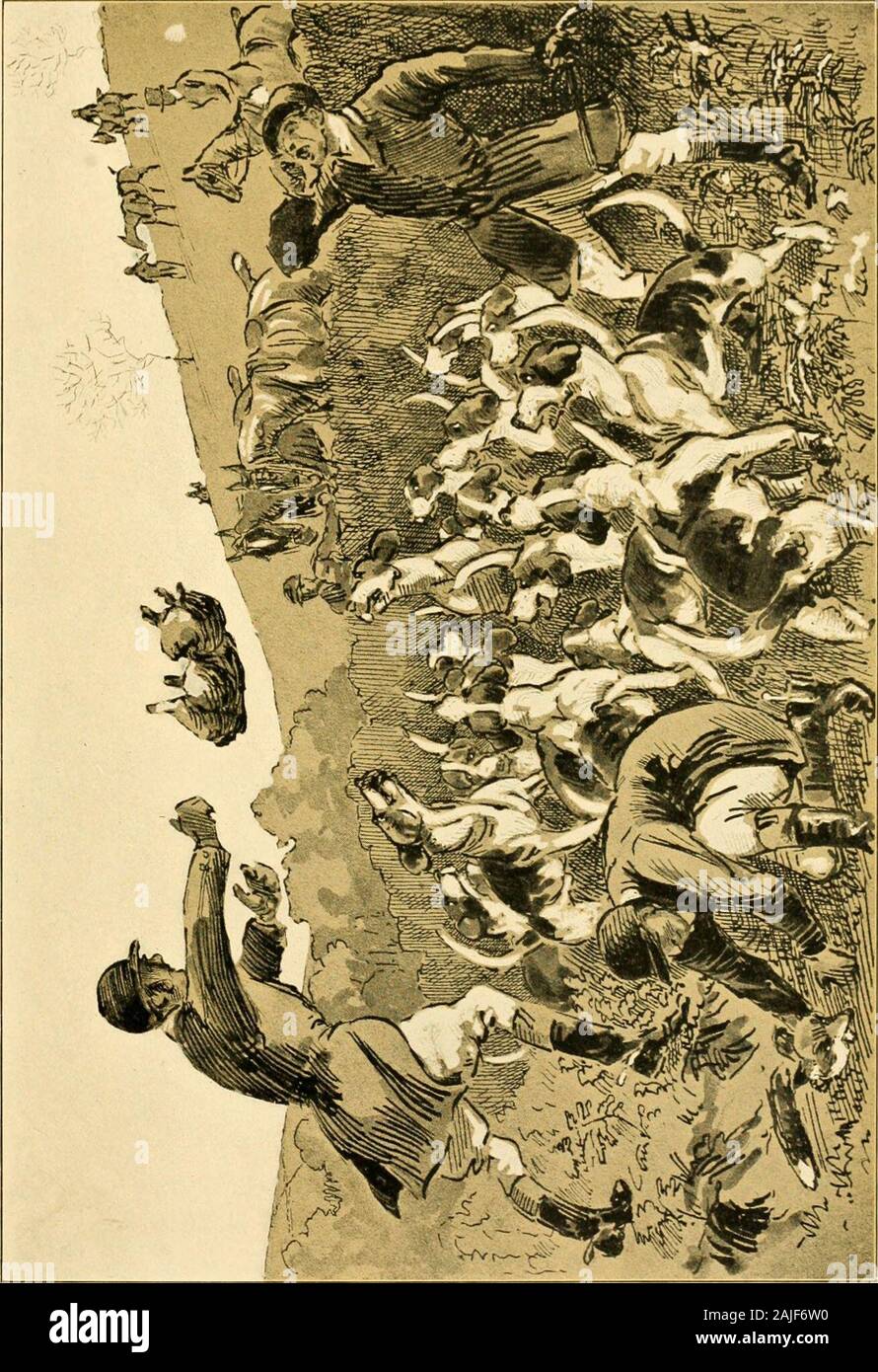 site de rencontre entre cavaliers