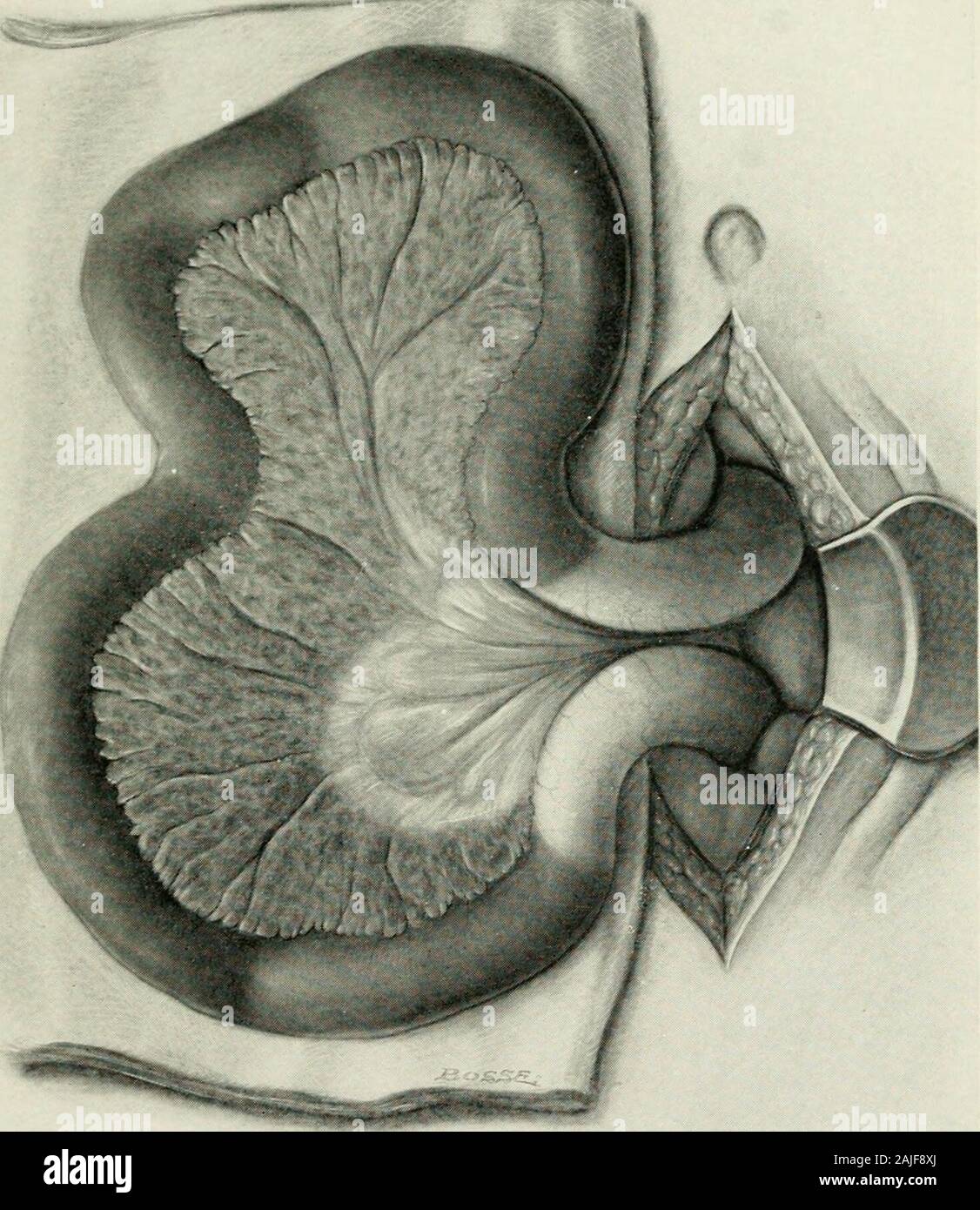Les Rapports Medicaux Et Chirurgicaux Nos Annees Avant Et Mais Pour Qui A Travaille Pendant De Nombreuses Annees A Son Commerce Et Dit Hehas Toujours Ete Un Homme En Bonne Sante En