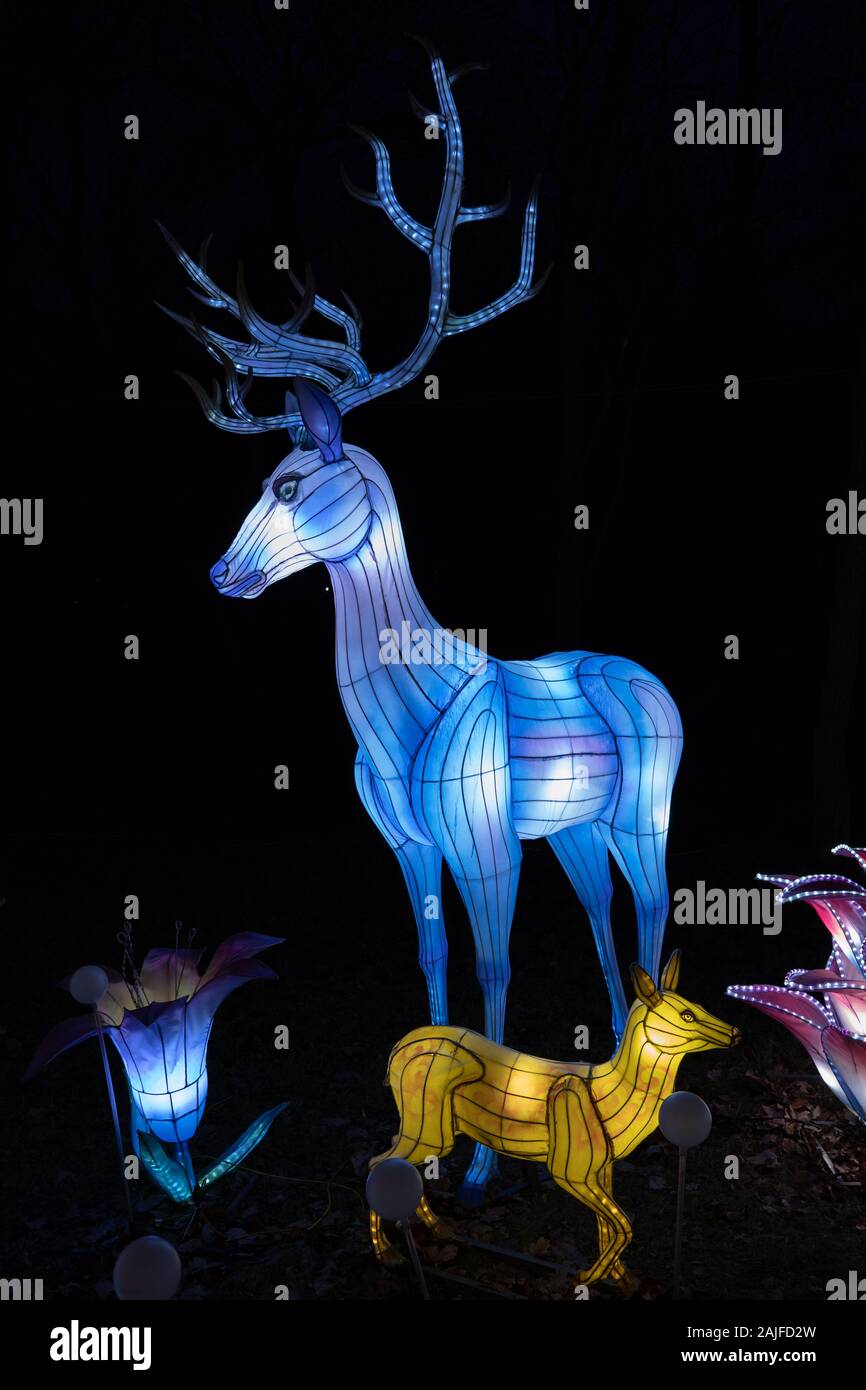 Varsovie, Pologne - 16 décembre 2019 : des daims au festival lumière chinois, la culture chinoise traditionnelle exposition au Fort Bema Banque D'Images