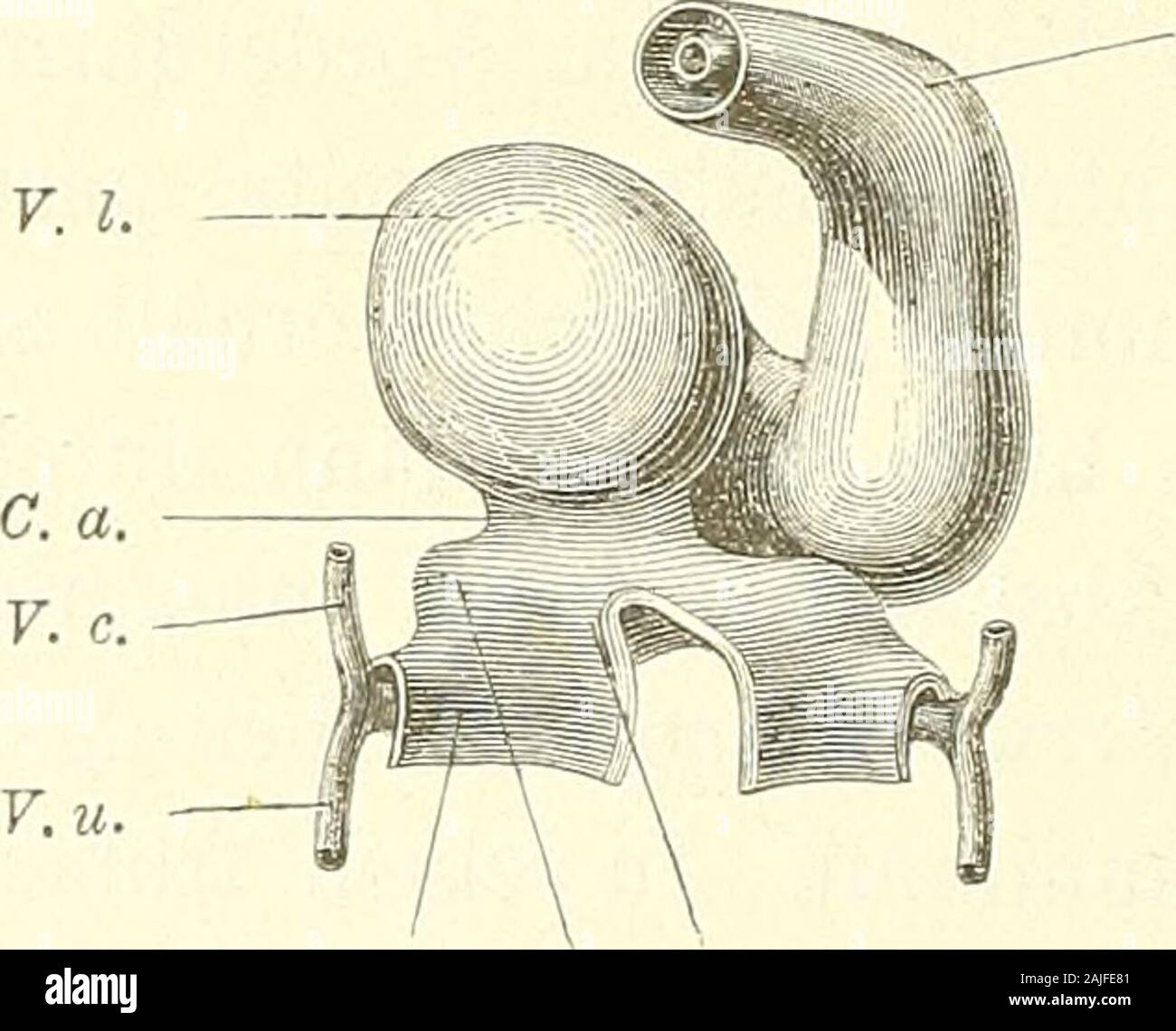 80 Hg Banque D Image Et Photos Alamy