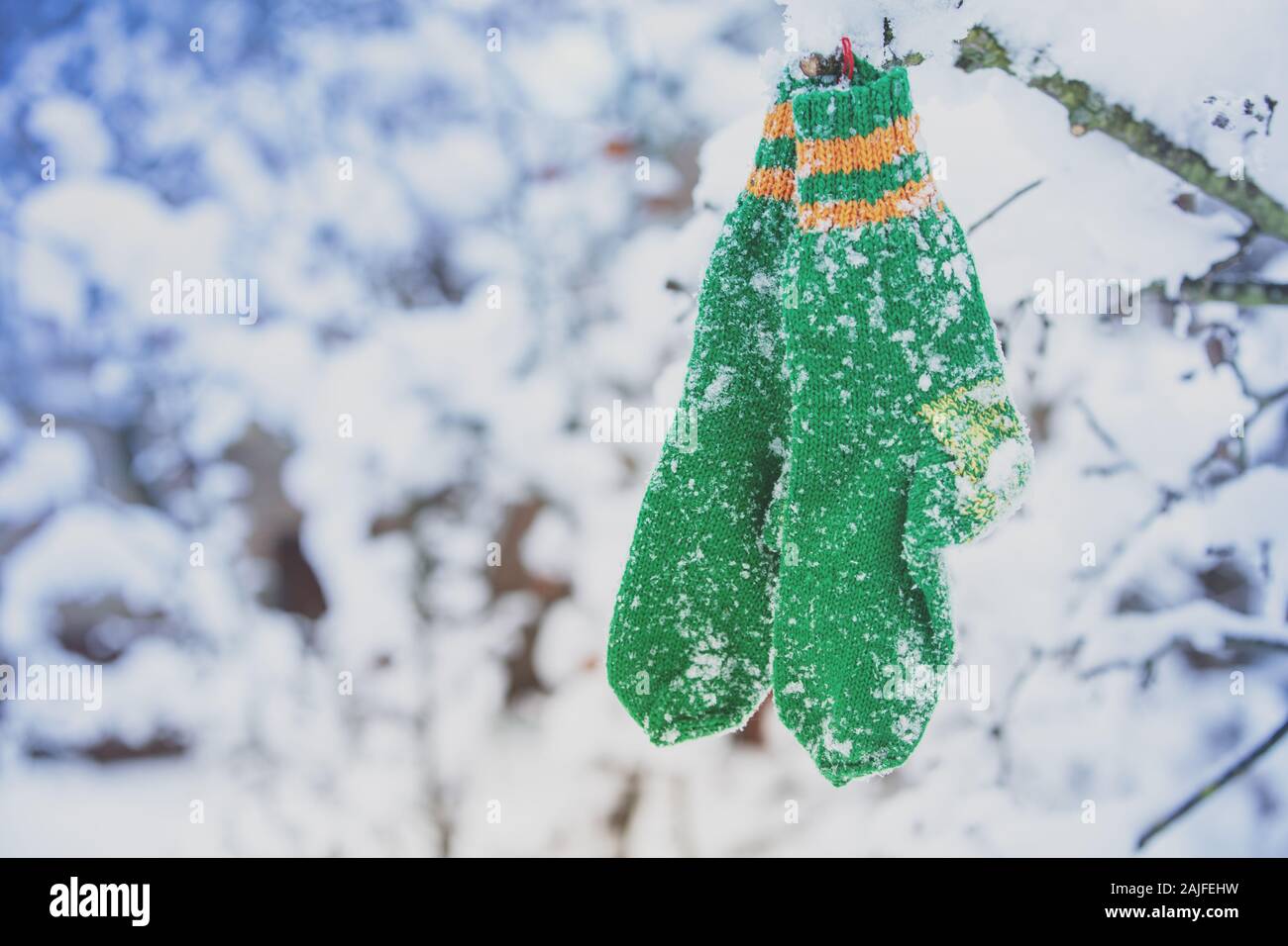 Chaussettes tricotées vert accroché sur l'arbre en hiver Banque D'Images
