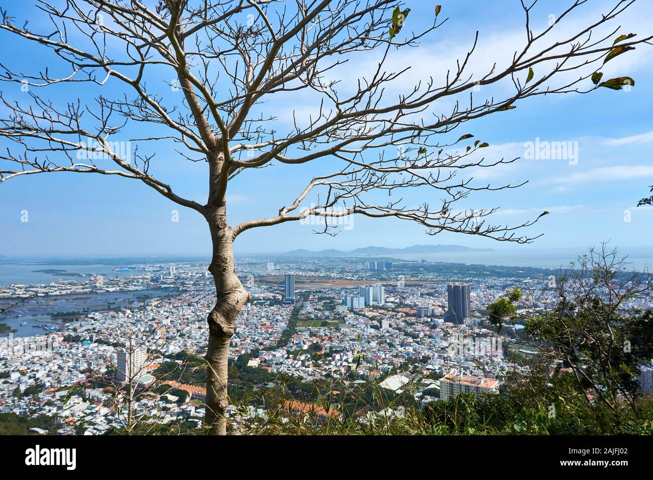 VUNG TAU, VIETNAM - DÉCEMBRE.24,2020 : vue sur Vung Tau avec arbre en premier plan. Banque D'Images