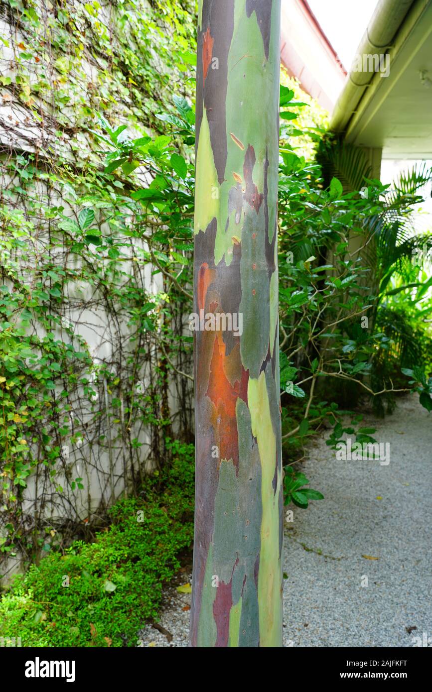 PENANG, MALAISIE -6 nov 2019- Avis de l'hôtel Edison George Town, un hôtel de charme dans une ancienne demeure coloniale dans la ville historique de George Town, Penang, m Banque D'Images