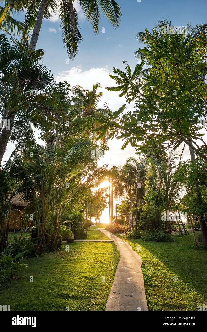 Beau complexe hôtelier tropical avec palmiers et plantes jungle luxuriante au coucher du soleil Banque D'Images