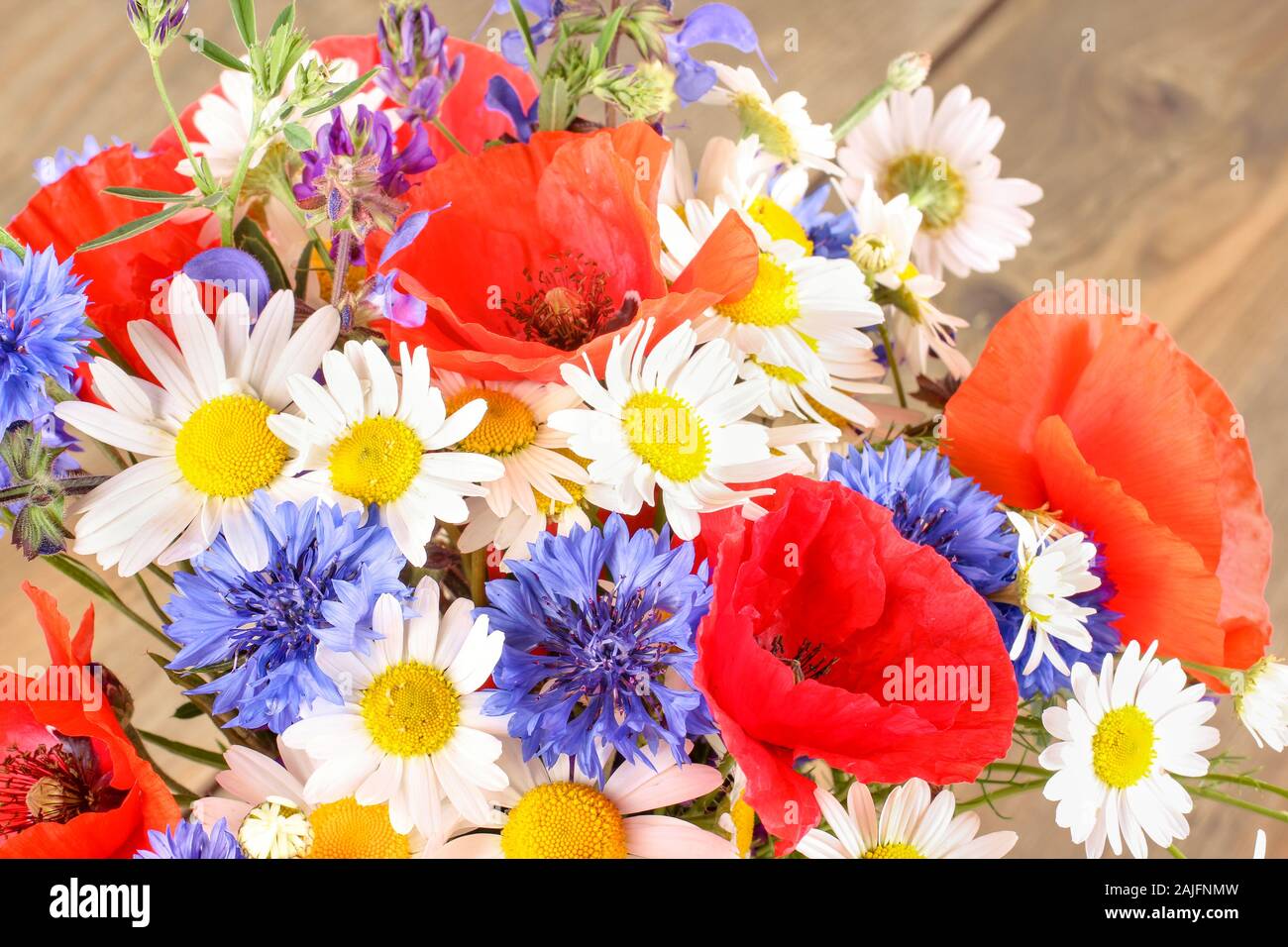 Fleurs des prés colorés Banque D'Images