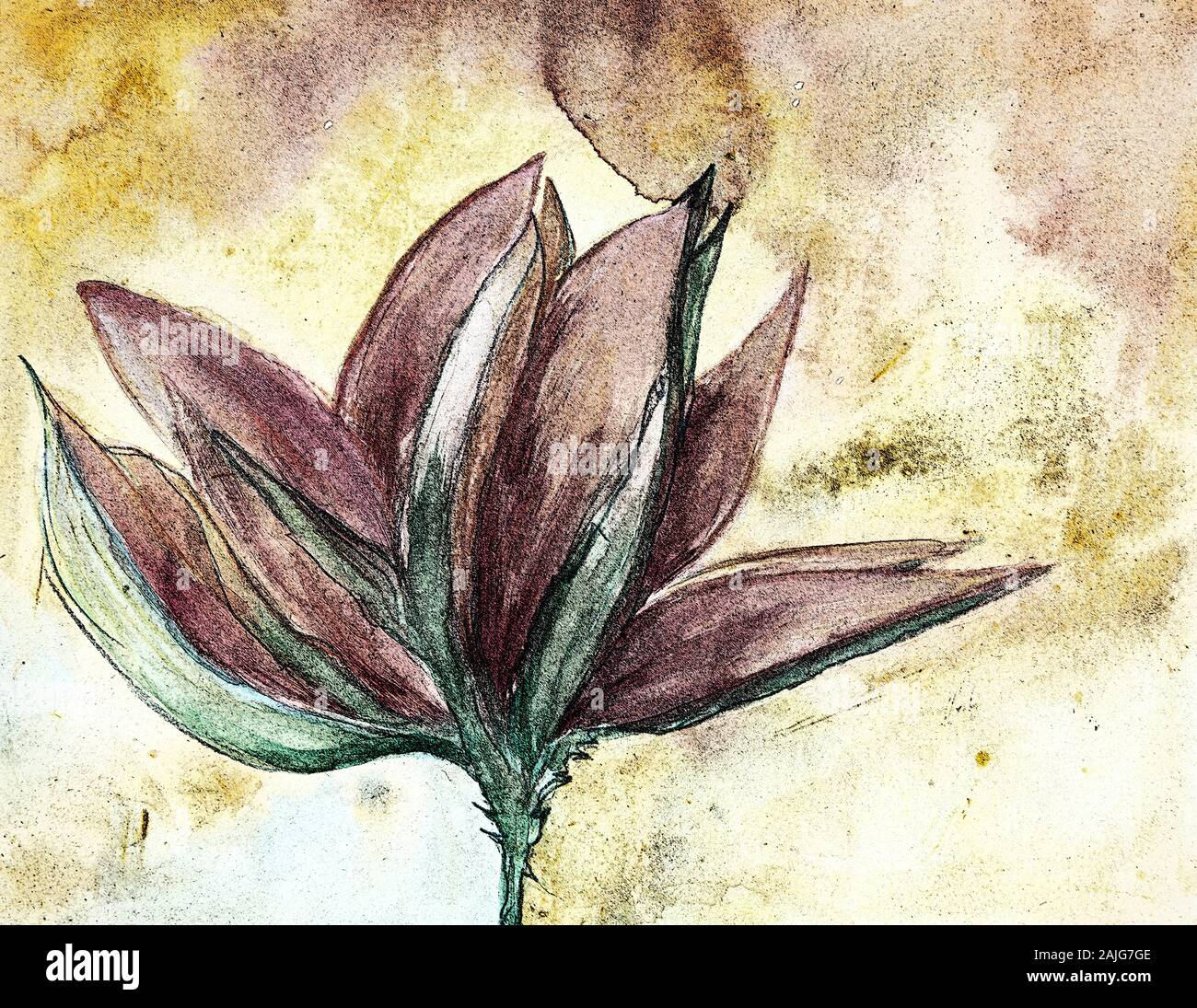 Fresque de la fleur de lotus sacré sur un fond doré. La technique du badigeonnage près des bords donne un effet de flou dû à la surface altérée roughn Banque D'Images