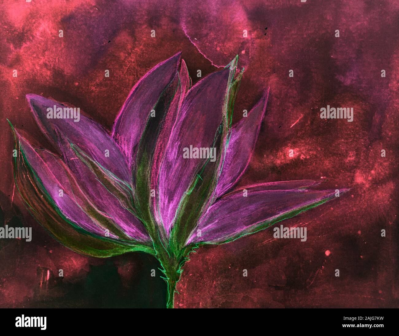 Rouge psychédélique fleur de lotus. La technique du badigeonnage près des bords donne un effet de flou en raison de la modification de la rugosité de surface du papier. Banque D'Images