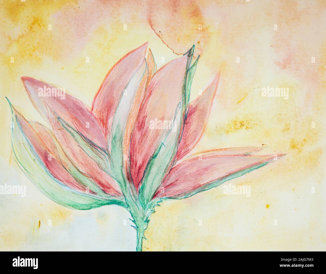 La fleur de lotus sacré. La technique du badigeonnage près des bords donne un effet de flou en raison de la modification de la rugosité de surface du papier. Banque D'Images