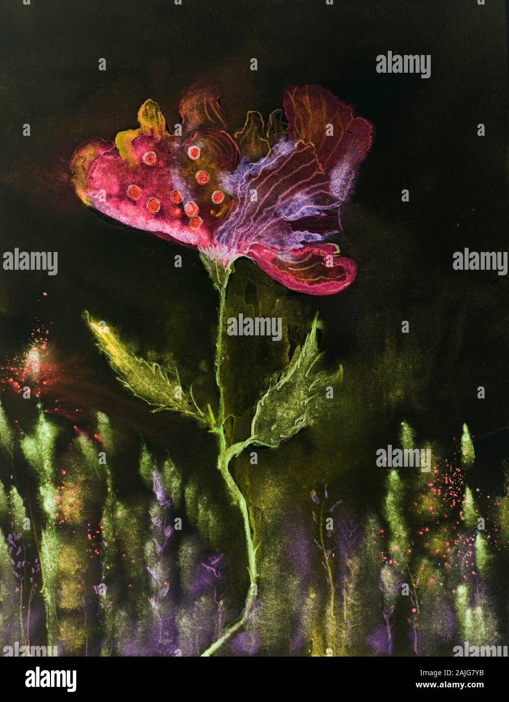 Pavot lunatique avec un arrière-plan sombre. La technique du badigeonnage près des bords donne un effet de flou en raison de la modification de la rugosité de surface du papier Banque D'Images