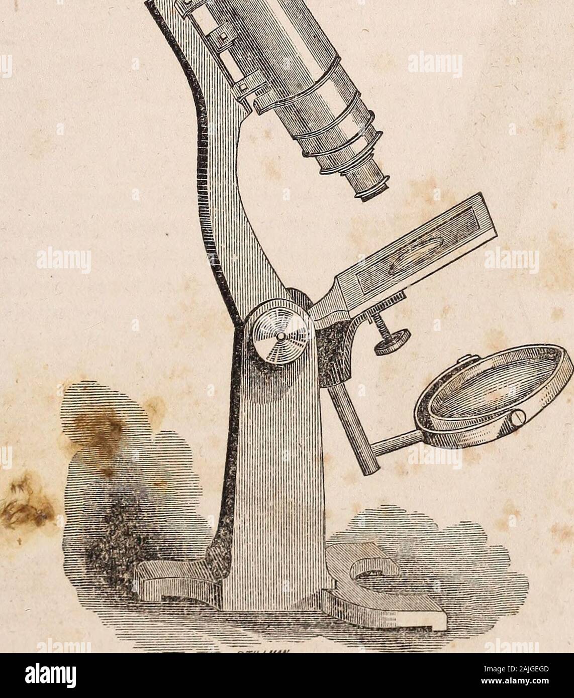 L'American Family Physician : ou domestique, guide de la santé : pour l'utilisation des médecins, les familles, les plantations, les navires, les voyageurs, etc. . faible, hemay p r o e u re thehigher pouvoirs, polar-ise o p e, diaphragme,&c, s'il desirethem. Le pouce de l'ob-jective est environ 60 diamètres, ou magni-étudiants Spencers Microscope. fies l'objet environ 3 600 fois superficiellement ; le quart de pouce est d'environ 300 diamètres, magnifier-ing l'objet 90 000 fois superficiellement. Si le quart de pouce onlyis objectif pris, le prix est de 30 $ ; mais tous ceux qui en sont capables doivent se procurer les deux ob-objectifs. Mm. J. & W. Grunow, de nouvelles Banque D'Images