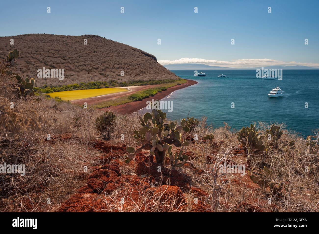 Paysage de l'île de Rabida, Galapagos, Equateur. Banque D'Images