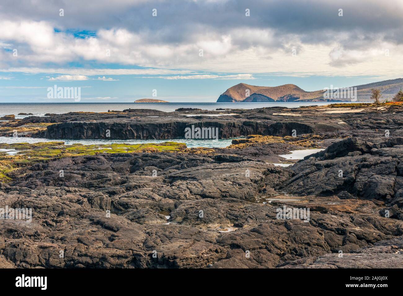 Paysage côtier de l'île de Santiago, Galapagos, Equateur. Banque D'Images