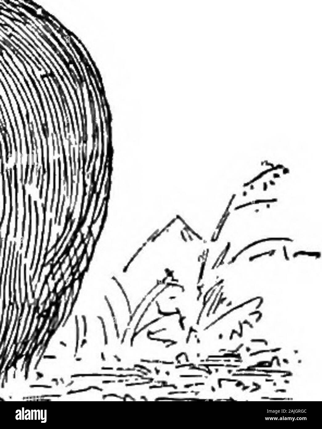 Les poules bantam ; une description de toutes les espèces et variétés de standard, et bantams de nouvelles races qui sont en train de devenir populaire .. . Coupé d£- Banque D'Images