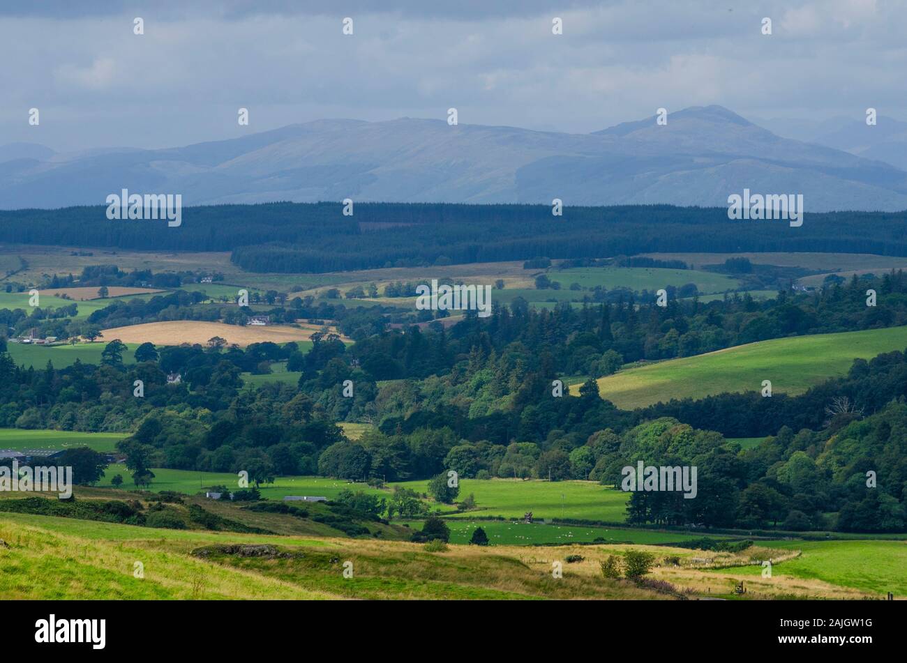 Paysage dans les basses terres écossaises Ecosse Royaume-Uni Banque D'Images