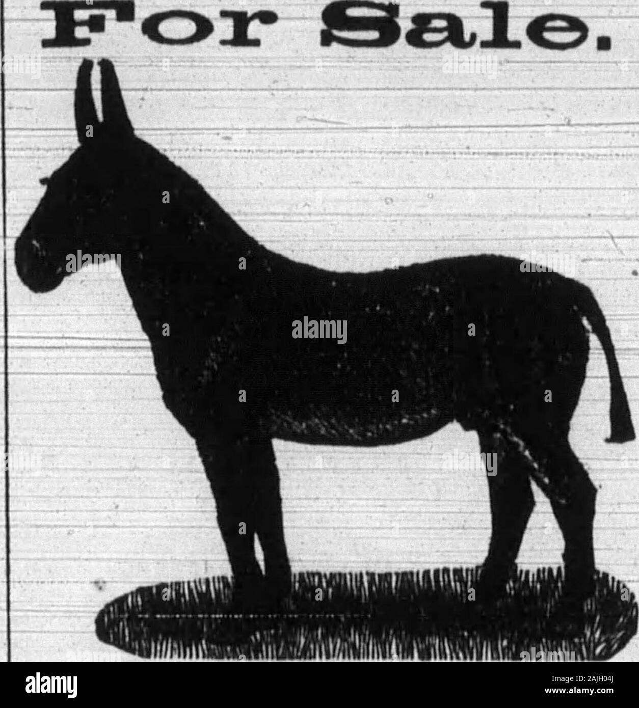 Boone County Recorder . .25 & $3.50 Pratts Alimentation, emballage.. .50c ver Pratts Poudre- ? Supplément de 50c-Cure Pratts coliques.^ anteed-guar 50c Pratts Veterinary Lini-ment 25c Pratts Healing Oint- rencontrez 25c Pratts roupe Remède poux Pratts 25c en poudre. 10 25 cPratts Fountainslarge & Volaille et petite taille-meilleur de tous-galvaniezd-cant break em-qt. taille. 20c 35c taille d'un gallon de volaille ou d'un stock international 20c de l'alimentation de la volaille Hess Pana-cea 20 et 50c Stock Hess la nourriture.. 20 et 40 cBlack Projet de Stock et la volaille 20c 50c .Germozone Membaca poux liquide Killer.35cPrussian gel Poudre.. 50c 20c tueur pou instantanée Lamb Banque D'Images