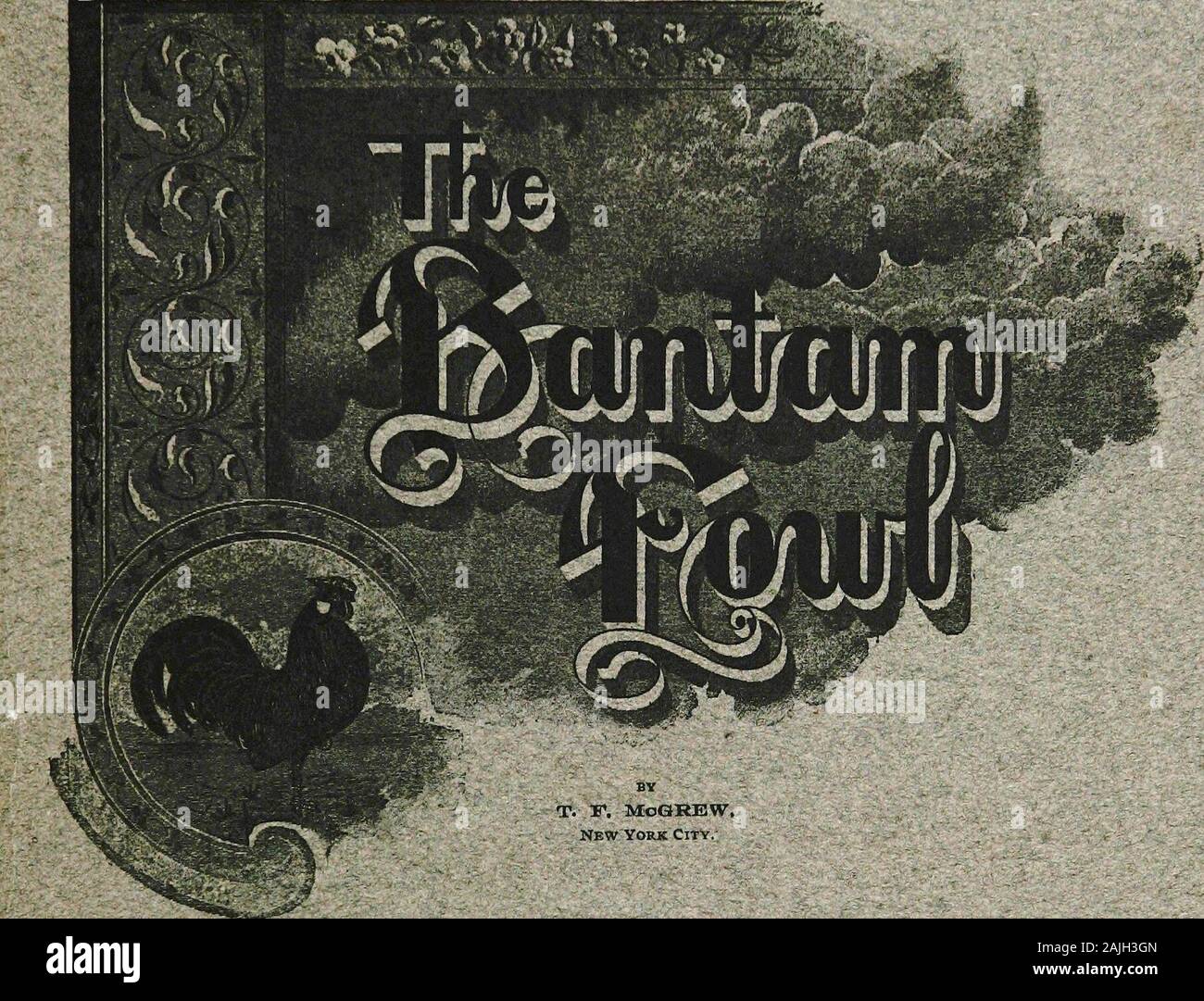 Les poules bantam ; une description de toutes les espèces et variétés de standard, et bantams de nouvelles races qui sont en train de devenir populaire .. . &Gt ; .£r^^ ?> ; .**il. T. F, MoQREW, New York City. -COPYRJOHT roOE Volaille fiable Journal Publishing Co. EUBIilSHSD _ PAR LA VOLAILLE,fiable, JOURNAl PUBLISHING COMPANY, QUINGY, ILLINOIS, U., A. Banque D'Images