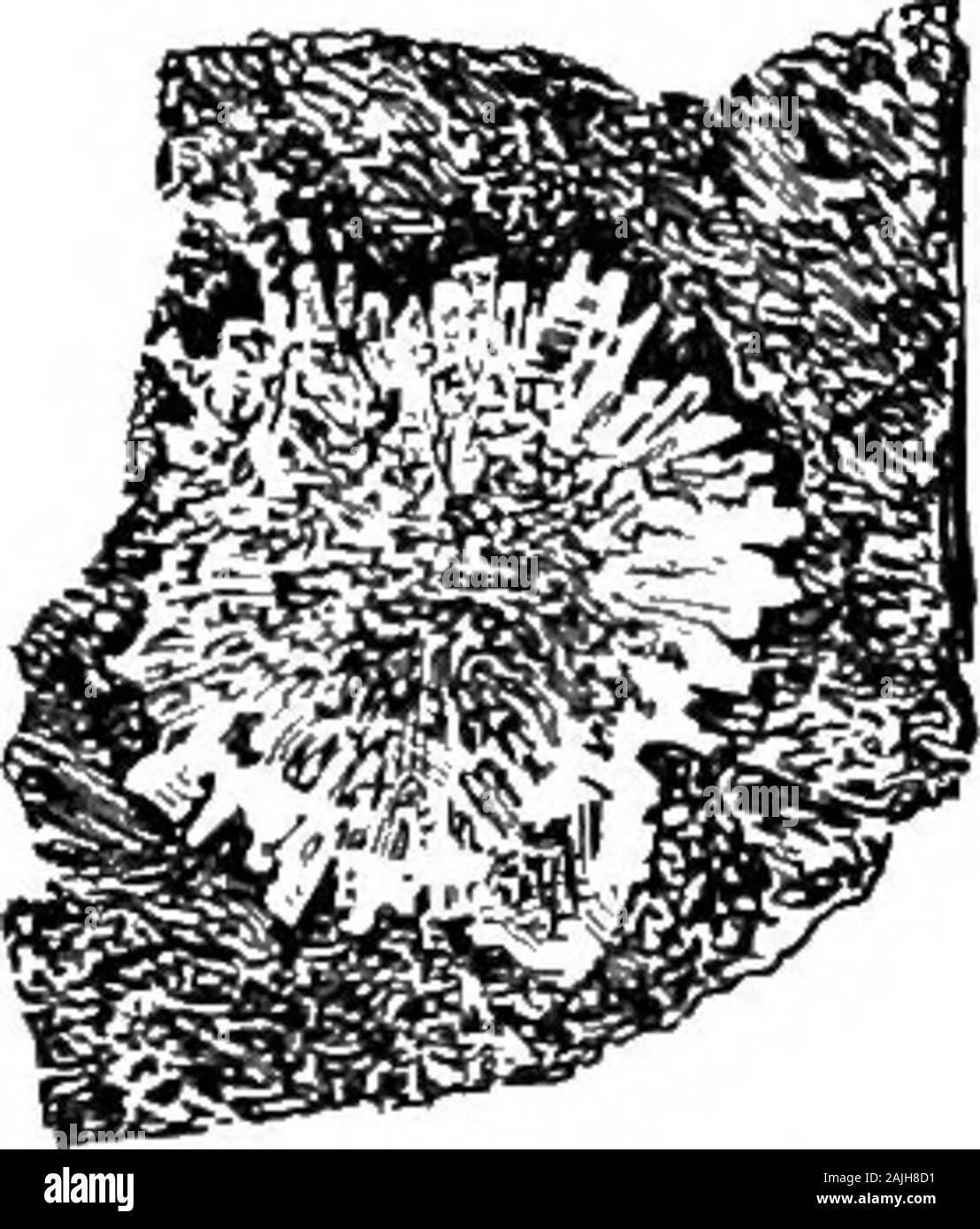 Éléments de minéralogie, cristallographie et analyse de sarbacane, d'un point de vue pratique .. . Ct. La cristallisation.-orthorhombiques. Axes d ?c  =0,979 : 1:0,354. mm (angle de x o / Bois Falaise. N. J. prism)  =91 14 . Les caractères physiques. H., de 5 à 5,5. Sp. gr., 2.2 à 2.25. Lustre, vitreux. Transparent à opaque. Streak, blanc. Ténacité, cassante. La couleur, incolore, blanc, jaune, rouge. Décolleté, prismatique. Avant de sarbacane, Etc.-fusibles très facilement à un verre incolore.En tube fermé, les rendements de l'eau. Soluble dans l'acide chlorhydrique, withgelatinization. Espèces semblables.-diffère de pectolite dans carré sec Banque D'Images