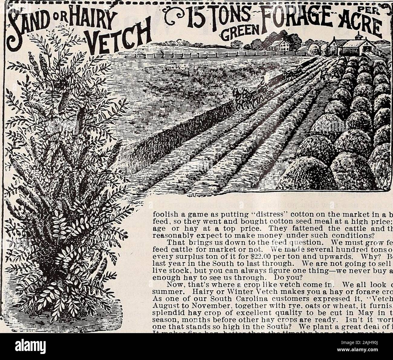 Hastings' Graines : automne 1912 catalogue . bas sur le niveau plus terres peuvent penser que cette dontapply à vous. Ne trompez ; ses vrai que vos terres ne laver autant que nos terres ne hill ; vos terres sont pour la plupart sandyand ils ont besoin de la matière végétale ou l'humus pire que nos terres hill et tout au cours de l'été chaud lorsque vous maintenez que cot-ton propre récolte et à la sortie de l'herbe le soleil est brûlant la matière du légume dans votre sol tout aussi vite que les pluies de l'hiver le laver(. loin de votre hills. Vous avez besoin de cultures de couverture d'hiver, non pas tant d'arrêter le laver mais de mettre de la matière végétale dans yo Banque D'Images