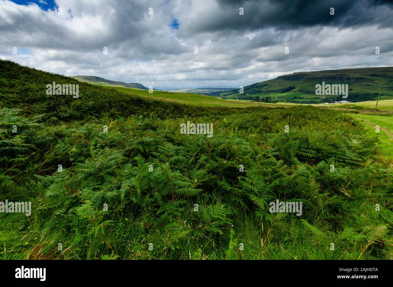 Paysage dans les Highlands écossais Scotland UK Banque D'Images