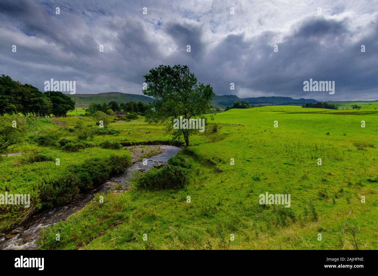 Paysage dans les basses terres écossaises Ecosse Royaume-Uni Photo Stock -  Alamy