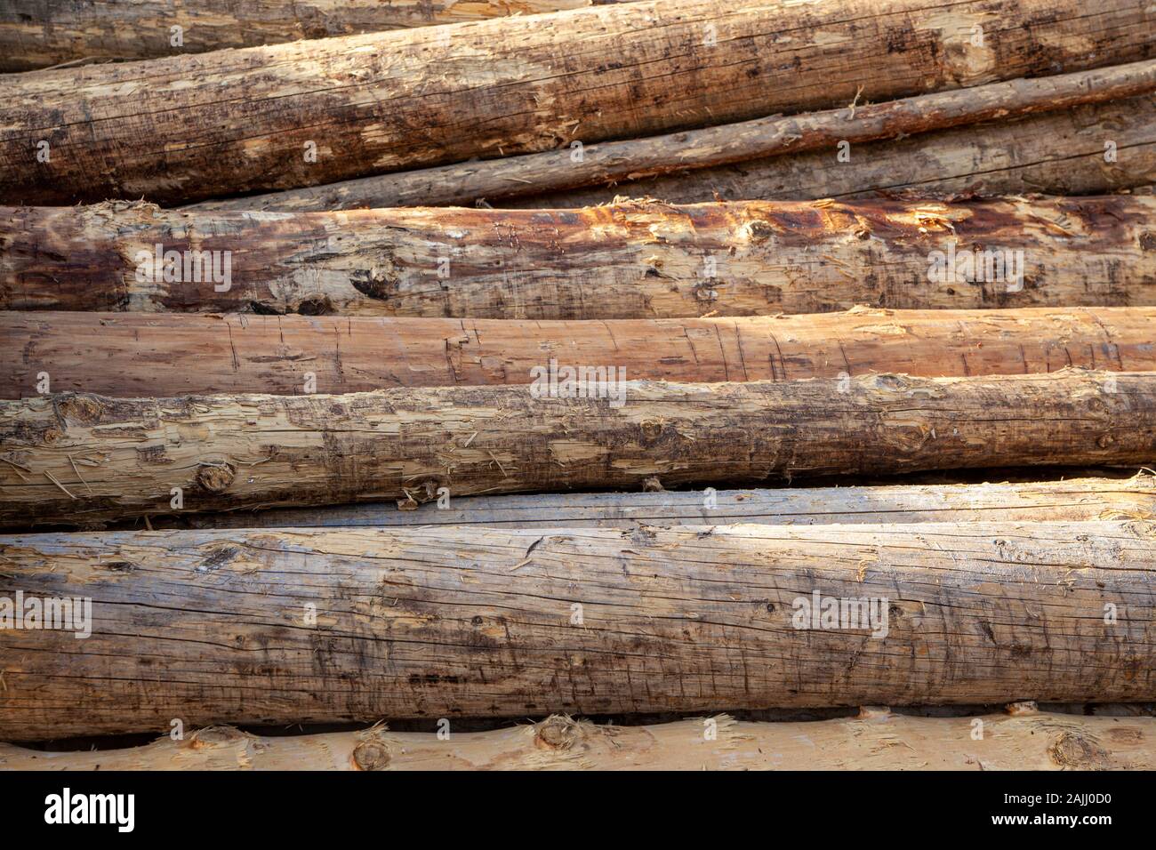 Gros logs stacked sur une pile Banque D'Images