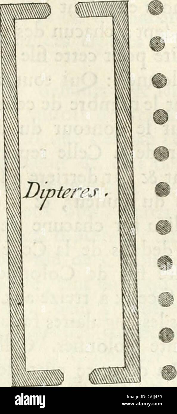 Cours d'architecture enseigné dans l'Académie royale d'architecture : premiere [-cinquième] partie ... . Je ? TROISIEME PARTIE. 17^ &c autant par derrière , &c onze en contant lesangulaires à chaque livre I.cofté ; Ainfi il y a cinq intervalles à chacune des faces , &c dix à C h a p. I.chacune des ailes, de trente Colonnnes au pourtour j Les murs de laCelle intimé aux quatre colonnes du mUieu des deux faits, &caux neuf du milieu des coftez. Les Diptères : cellule à dire les temples environnez dune aile dou- Diptcres dune aiie 1 f 11 £ H I J /^ ouadeuxiî 1 - double- ble ou de deux nies de Colon- ^ ^ Banque D'Images