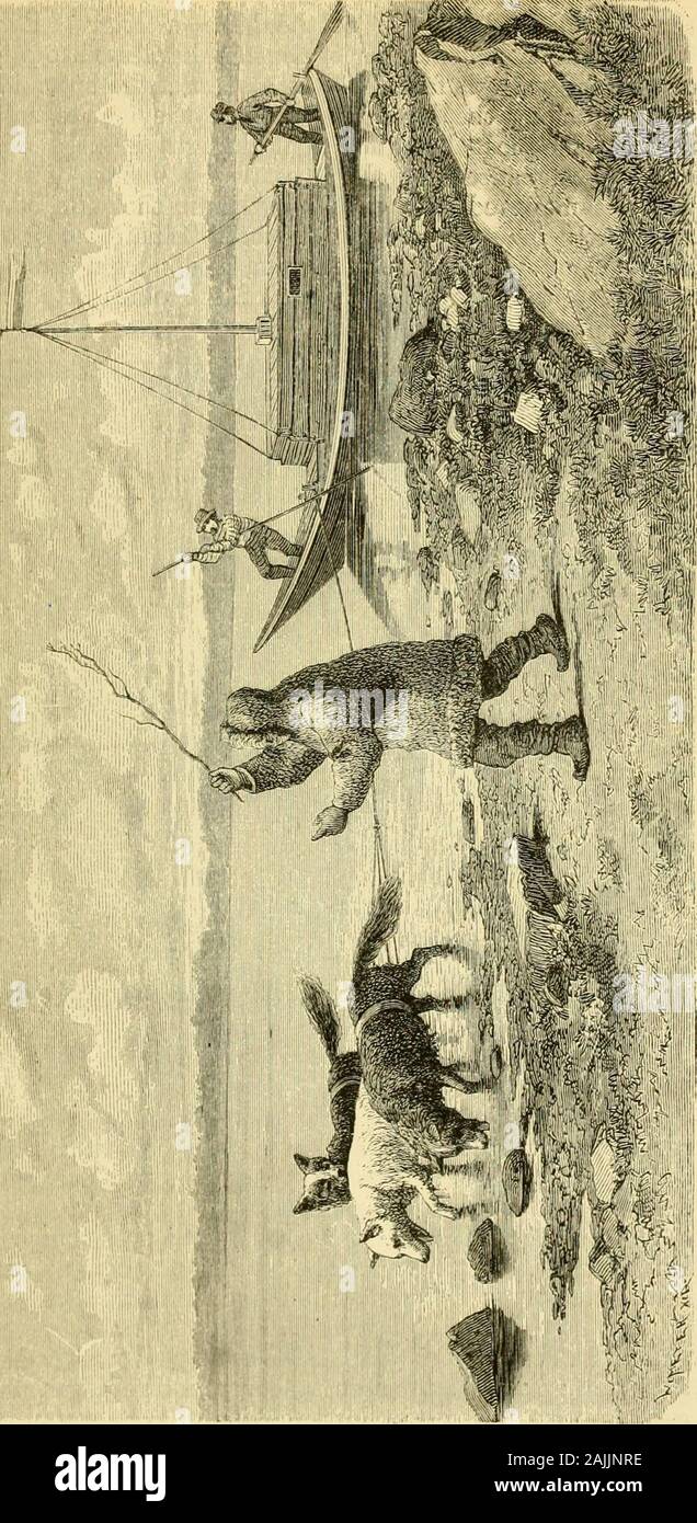 Le voyage de la Vega autour de l'Asie et l'Europe ; avec un examen historique des précédents voyages le long de la côte nord de l'Ancien Monde . OSTYAK TENTE. Après une photographie.) ainsi que les habitations des Russes, les tentes d'thenatives, ou, comme les appellent les russes, les Asiatiques, sont oftento être rencontré. Ils ont la même forme que le Lapp kota.La tente Samoyède est communément recouverts de peaux de rennes, theOstyak tente avec écorce de bouleau. Dans le quartier de thetent il y a toujours un grand nombre de chiens, qui duringwinter sont employés pour des fins de transport général, et insummer pour bateaux de remorquage Banque D'Images Le voyage de la Vega autour de l'Asie et l'Europe ; avec un examen historique des précédents voyages le long de la côte nord de l'Ancien Monde . OSTYAK TENTE. Après une photographie.) ainsi que les habitations des Russes, les tentes d'thenatives, ou, comme les appellent les russes, les Asiatiques, sont oftento être rencontré. Ils ont la même forme que le Lapp kota.La tente Samoyède est communément recouverts de peaux de rennes, theOstyak tente avec écorce de bouleau. Dans le quartier de thetent il y a toujours un grand nombre de chiens, qui duringwinter sont employés pour des fins de transport général, et insummer pour bateaux de remorquage Banque D'Images