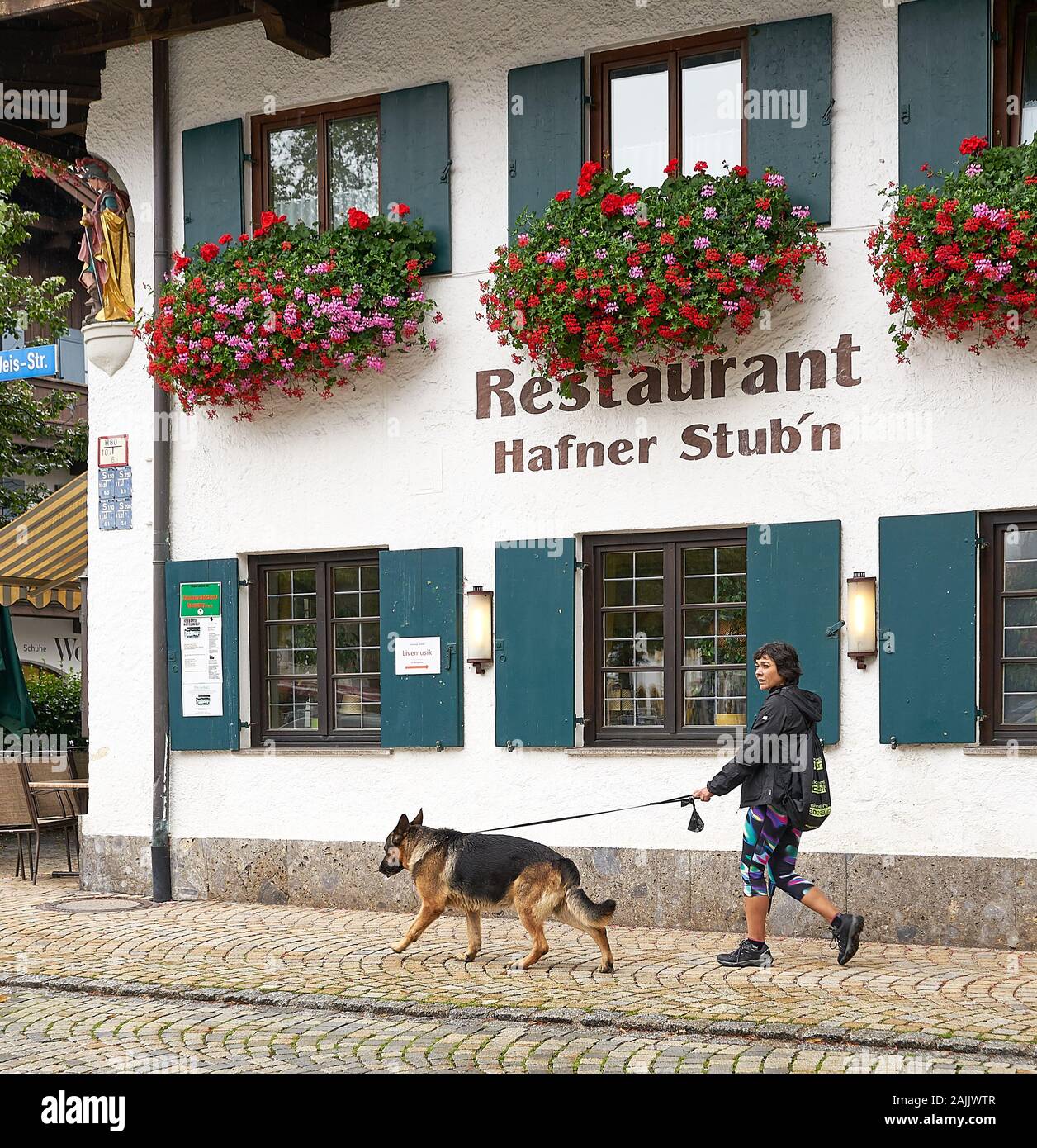 Une femme marche de beaux shepard allemands devant la façade d'un restaurant avec de jolies fleurs de boîtes de fenêtre dans la pittoresque ville bavaroise d'Oberammergau. Banque D'Images