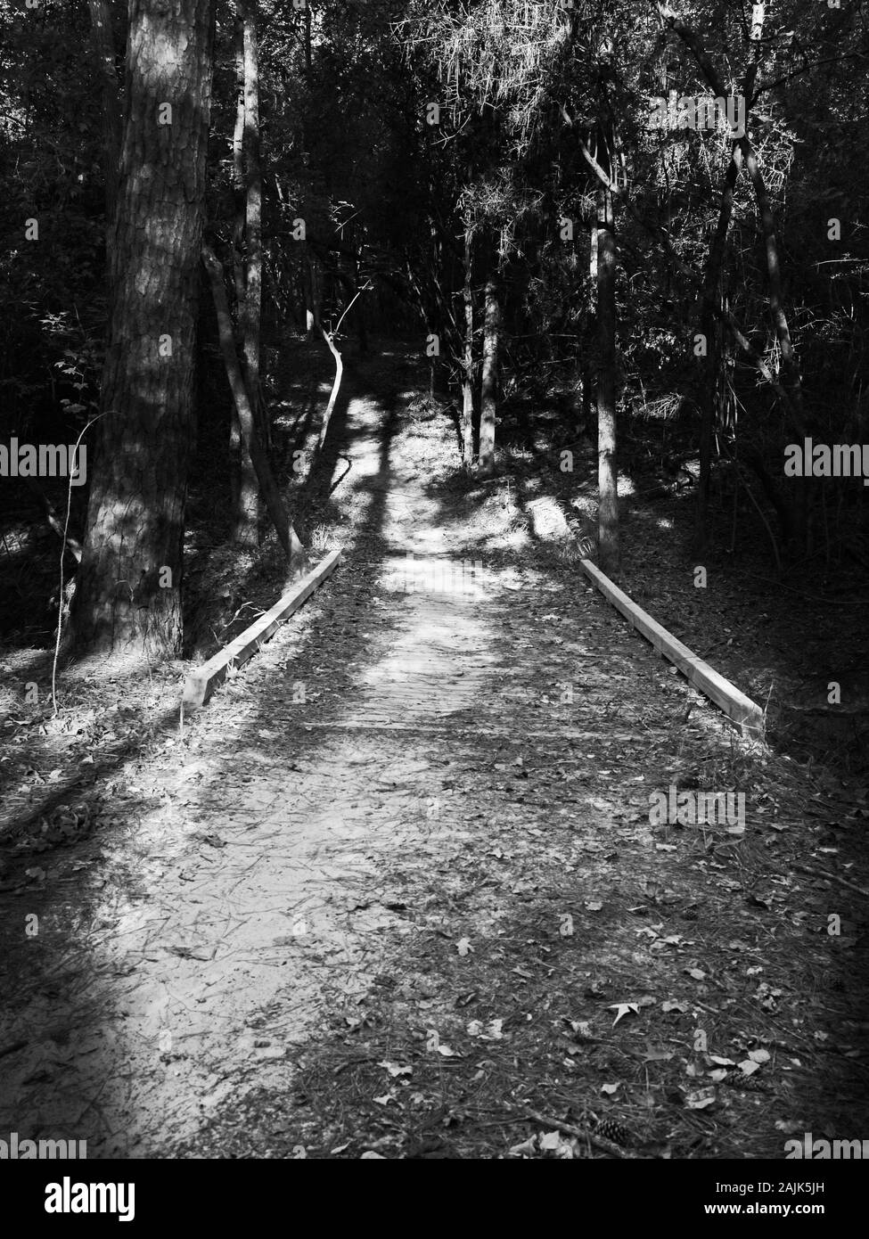 Spring TX USA - 10/10/2019 - Pont de la pat dans les bois en B&W Banque D'Images