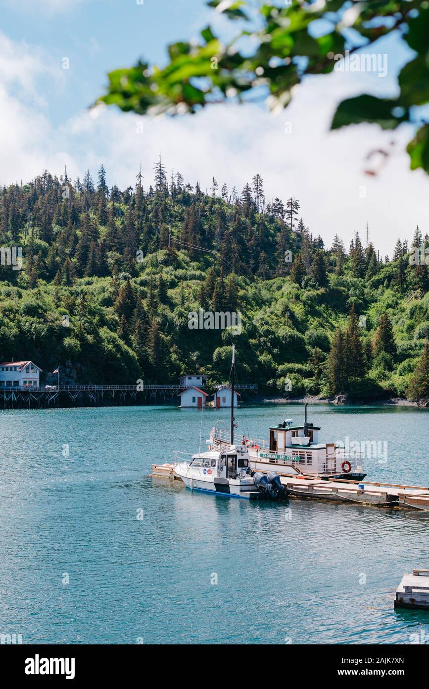 Halibut Cove, Kachemak Bay, Alaska, AK, United States, US Banque D'Images