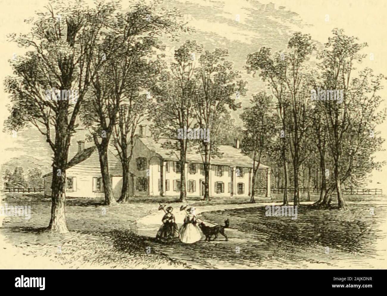 L'Hudson, à partir de la nature sauvage à la mer. u cours de cette invasion, les généraux house et Mills ont été burnedby Burgoynes commandes. C'était un acte qui afterwardslamented itish theJU-général, car il apprit bientôt à l'honneur Schuyler comme l'un des noblestmen qu'il avait jamais rencontré. Le manoir a été reconstruit immédiatement après thecampaign était terminée, un peu d'accouplement de l'emplacement de l'ancien, mais dans un stylemuch inférieur en beauté et frais. C'était les généraux pays-siège(sa ville résidence à Albany) jusqu'à sa mort en 1804, et était de 90 L'HUDSON. encore conservée dans sa forme originale au moment de notre visi Banque D'Images