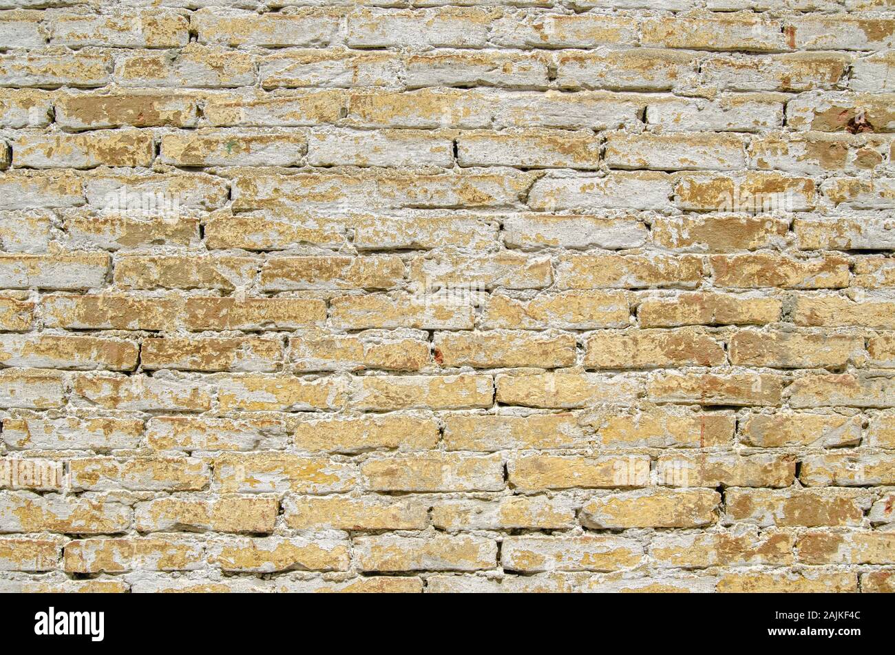 Mur de brique jaune patiné avec du lait de chaux disparaît. Mur historique à Forte Marghera, Mestre, la Vénétie. Banque D'Images