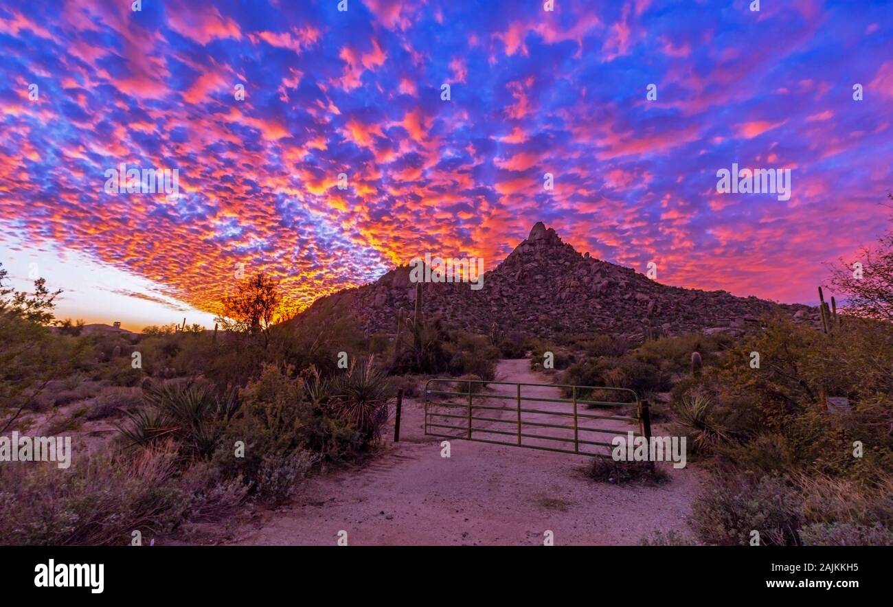 Scottsdale Arizona Sunset dans Pinnacle Peak Banque D'Images