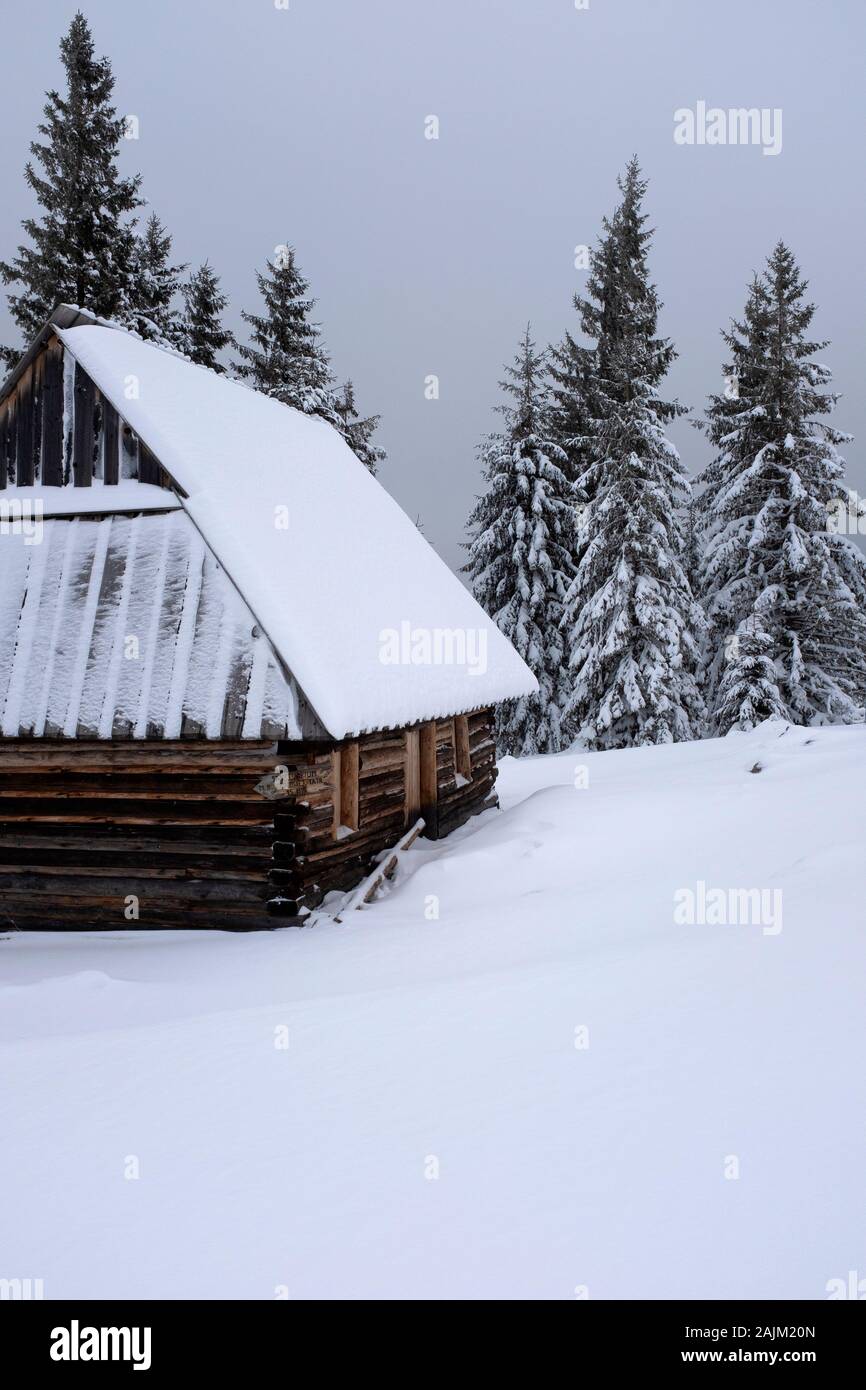 Cabane en bois couverte de neige, Zakopane, Pologne Banque D'Images