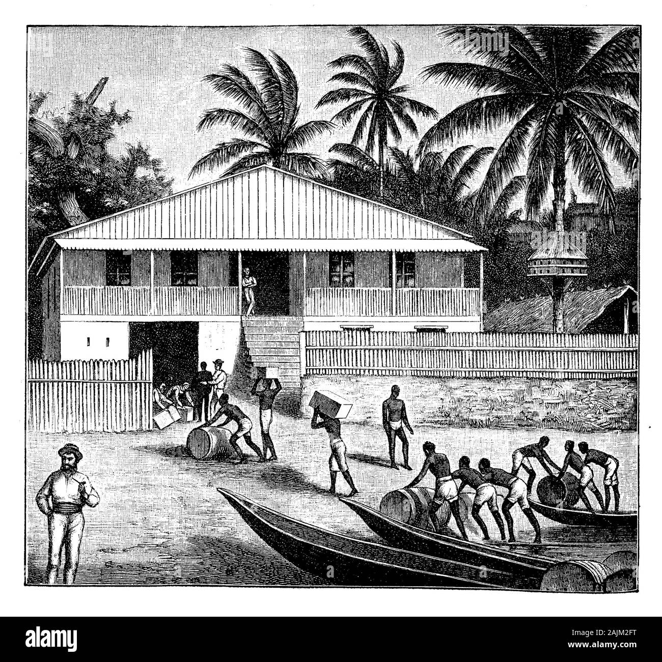 Togo, Afrique de l'Ouest - Transports d'esclaves de barils de l'huile de palme, le haut du pays des ressources tirées par le palmier Elaeis guineensis, 19e siècle illustration Banque D'Images