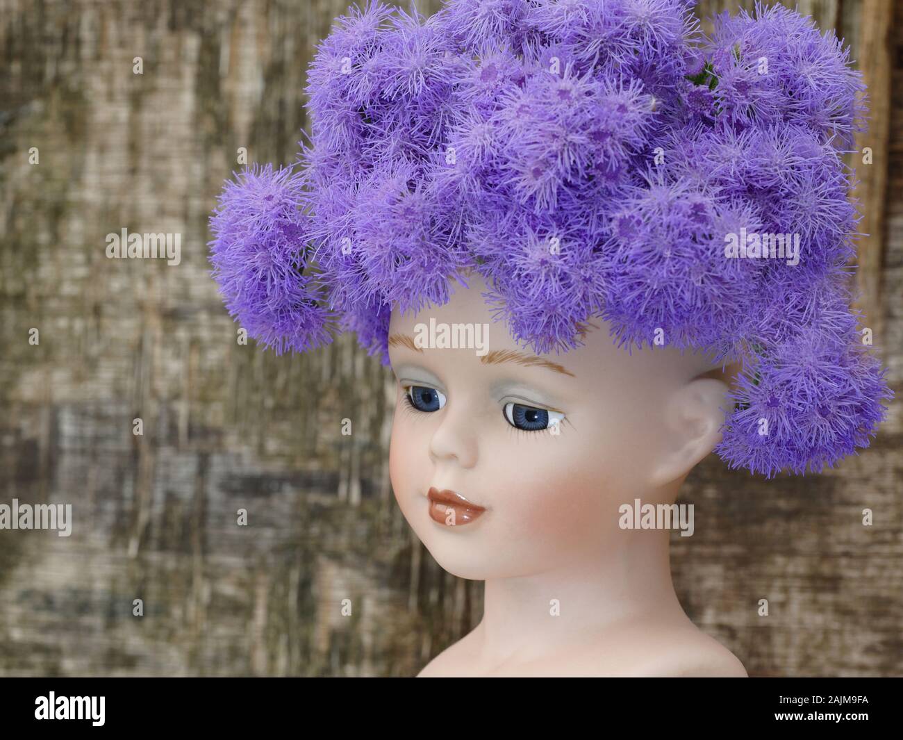 Tête de poupée avec Ageratum, fleurs molletonnées bleu lavande Banque D'Images