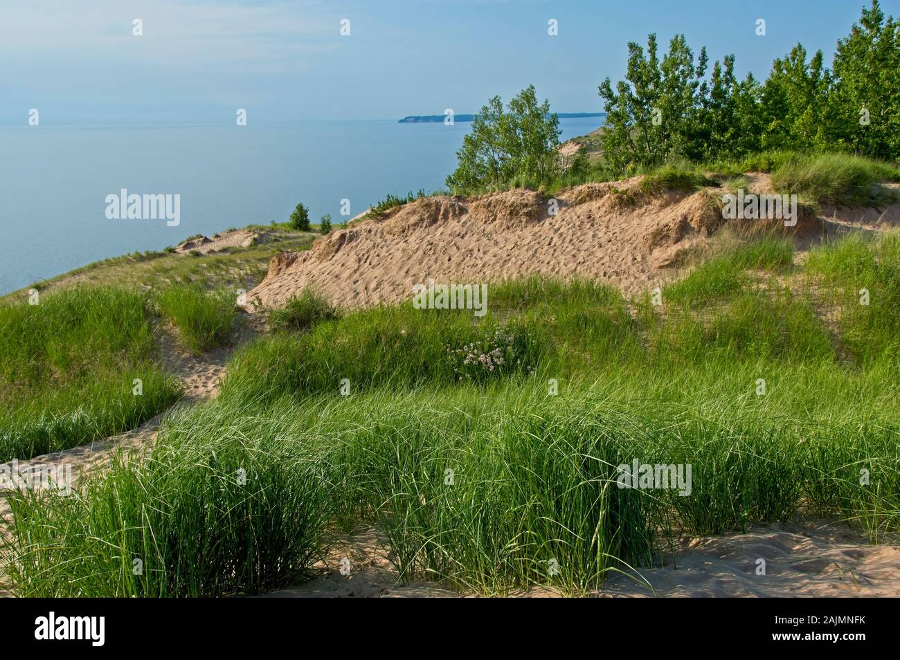 Lac national Sleeping Bear Dunes, le long de la côte du lac Michigan. Les hautes dunes offrent une vue panoramique. Banque D'Images