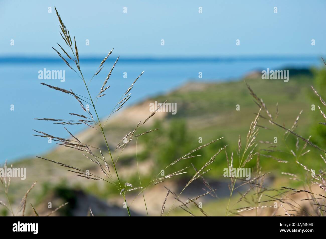 Lac national Sleeping Bear Dunes, le long de la côte du lac Michigan. Les hautes dunes offrent une vue panoramique. Banque D'Images