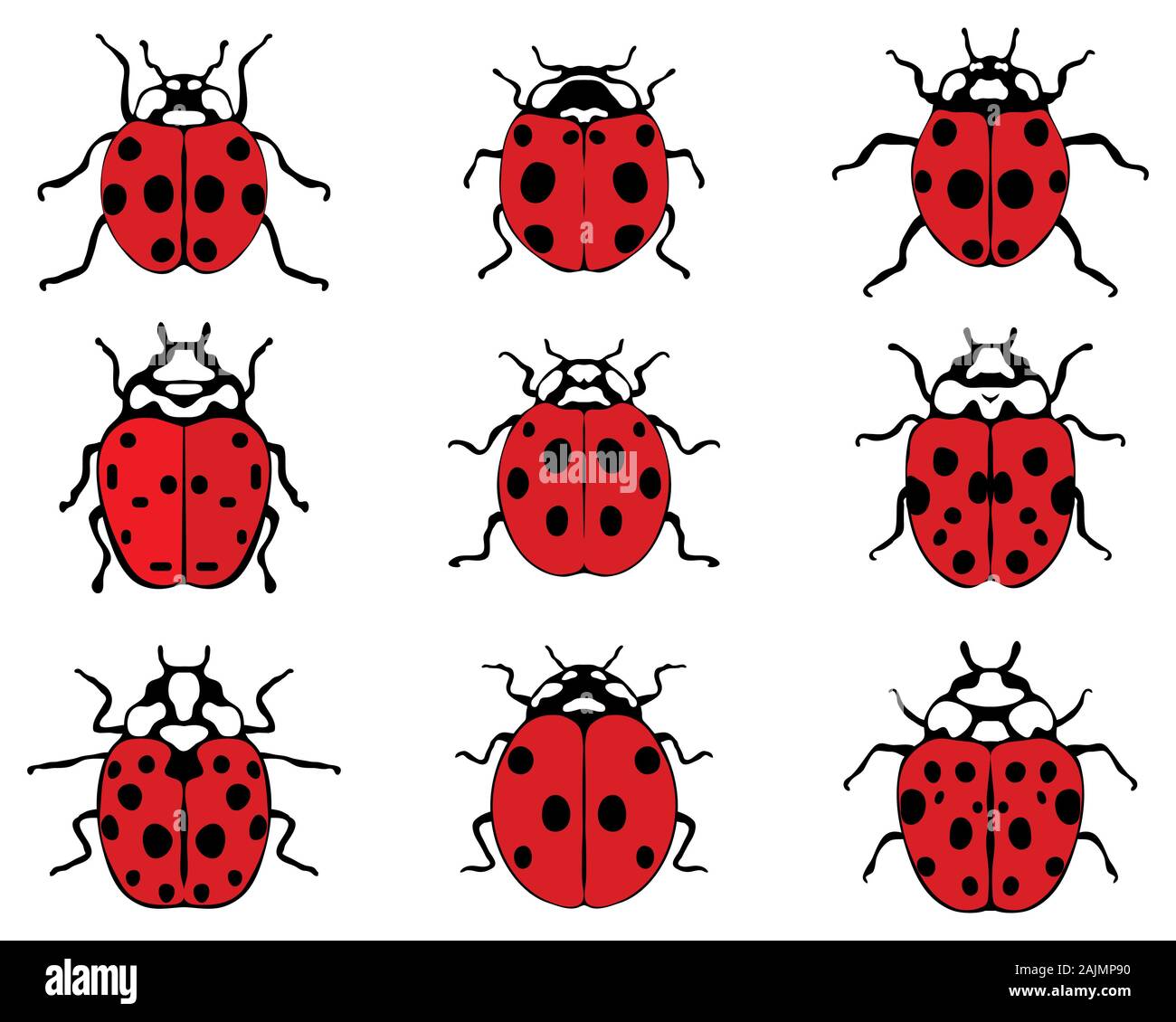 Ensemble de différents coccinelles joyeuses, illustration vectorielle Banque D'Images