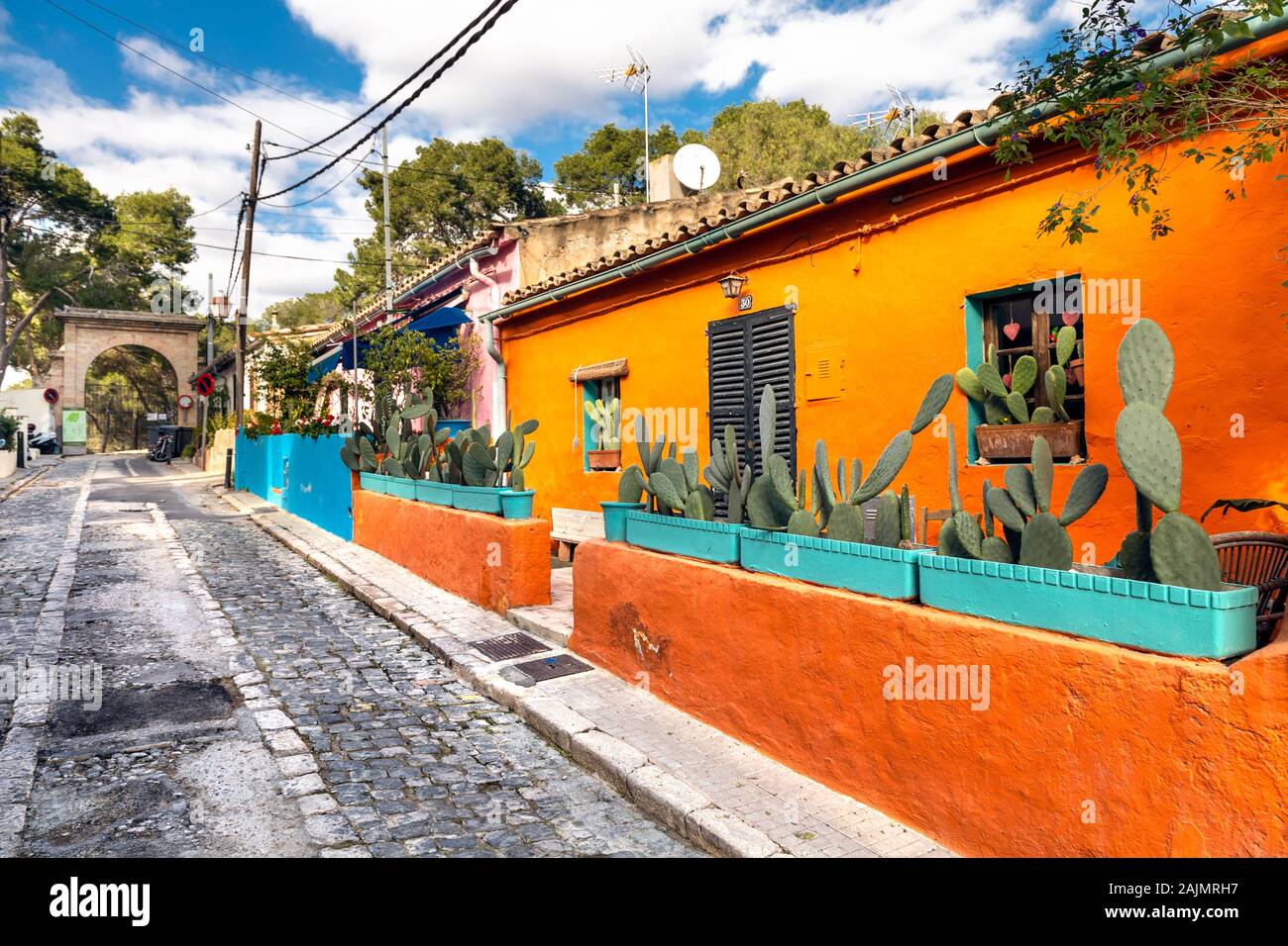 Chambre orange vif avec des cactus en pot dans sur Carrer del Polvorí, el terreno, Palma, Majorque, Espagne Banque D'Images