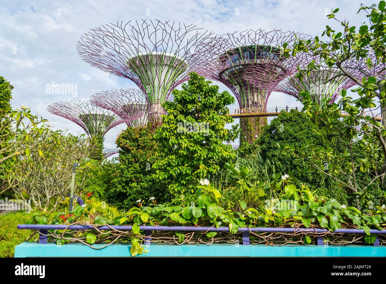 Gardens By The Bay Singapour Banque D'Images