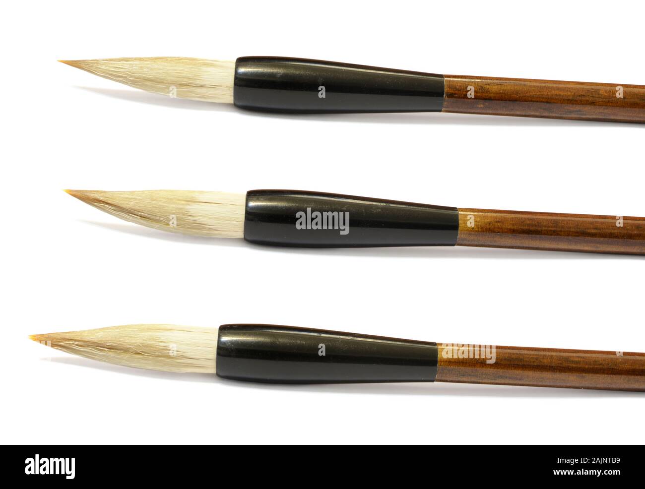 Ensemble de trois pinceaux de calligraphie chinoise sur un fond blanc Banque D'Images