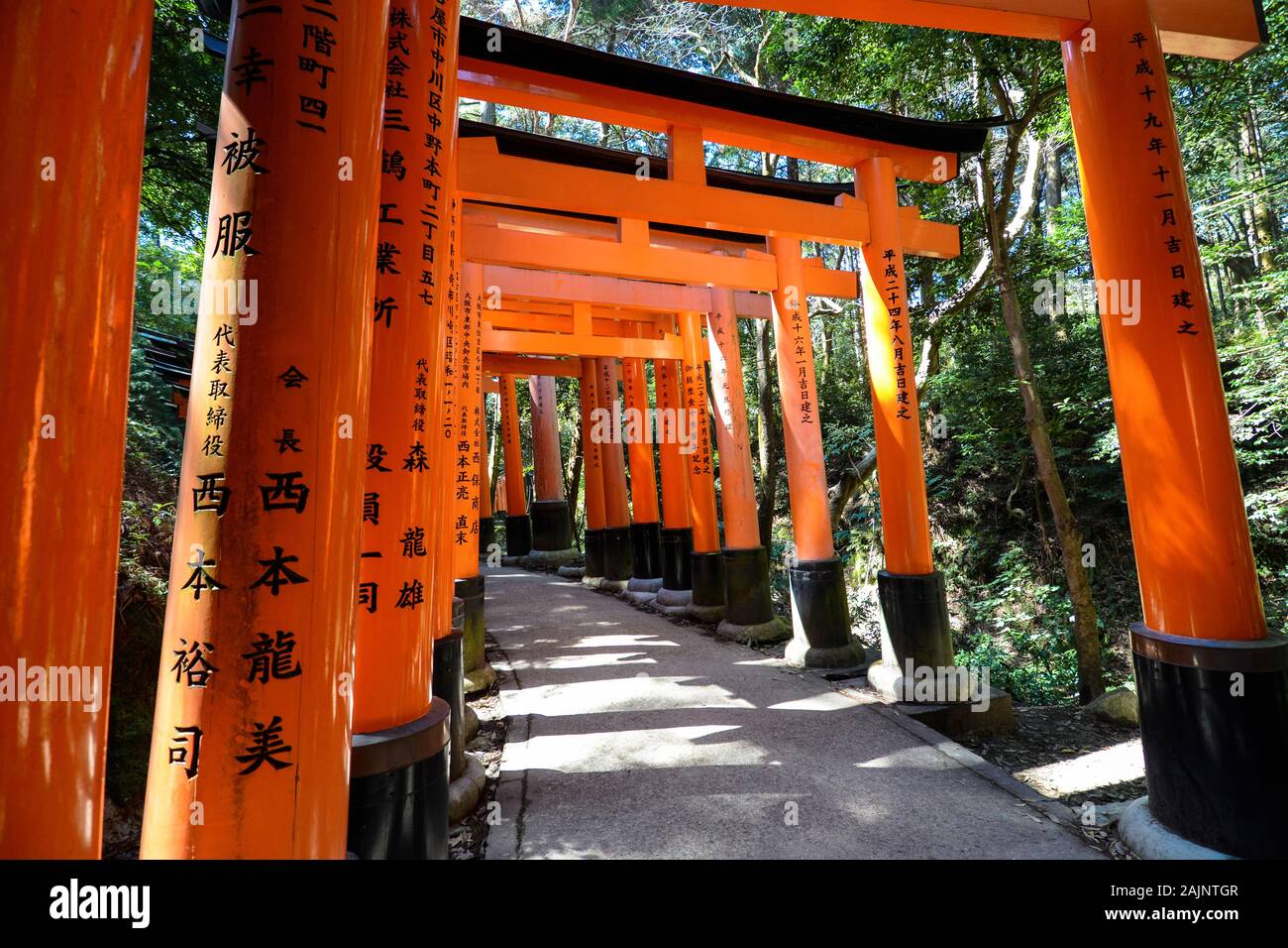 KYOTO, JAPON - 16 mars 2016 - chemin à travers les rangées de portes torii rouge au Sanctuaire Fushimi Inari-taisha à Kyoto, Japon Banque D'Images