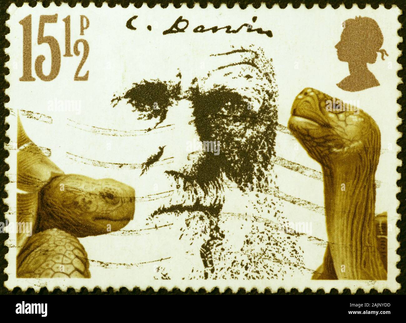 Charles Darwin et les tortues des Galápagos sur british stamp Banque D'Images